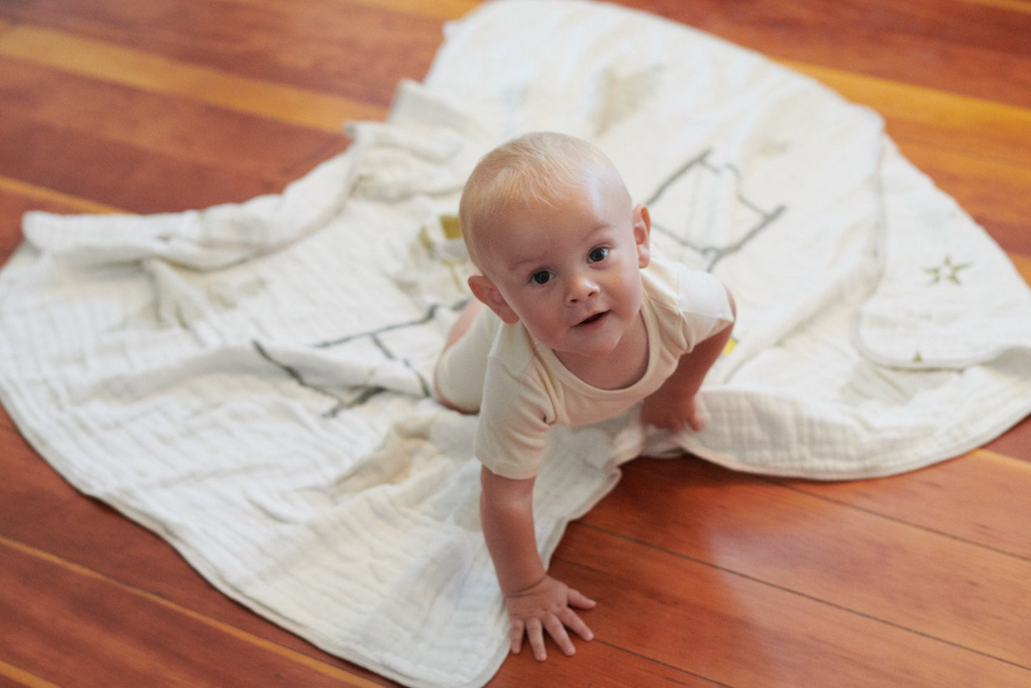 Flying Elephant Cotton Muslin Blanket - Reversible