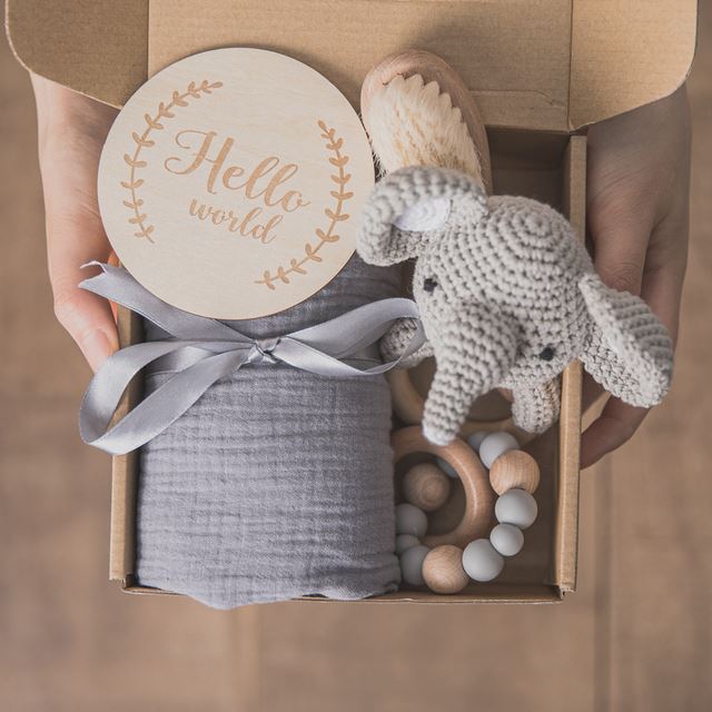 Hello World Newborn Baby Animal Rattle Gift Box