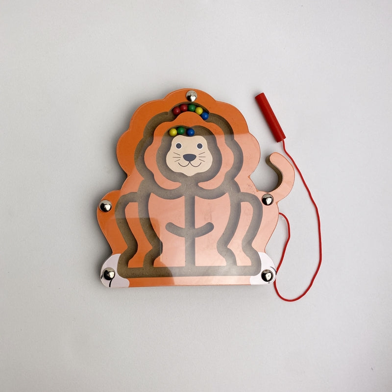 Magnet Maze Toy - Various Styles