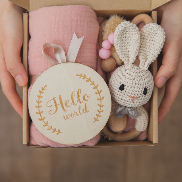 Hello World Newborn Baby Animal Rattle Gift Box
