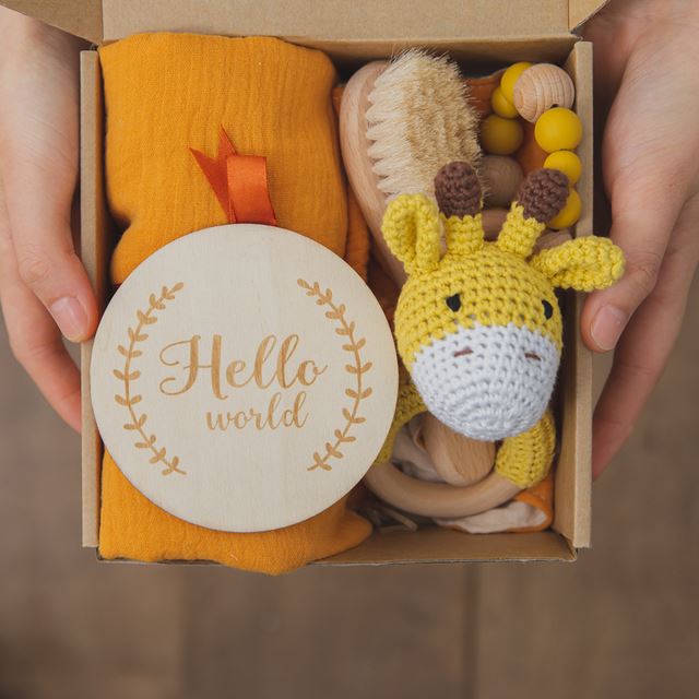 Hello World Newborn Baby Animal Rattle Gift Box