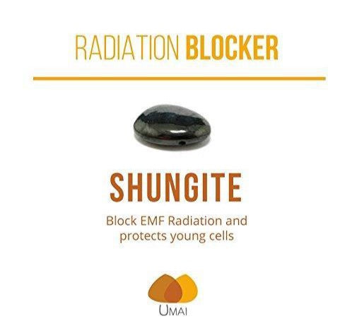 Amber + Shungite: EMF Radiation Blocker Teething Necklace For Baby